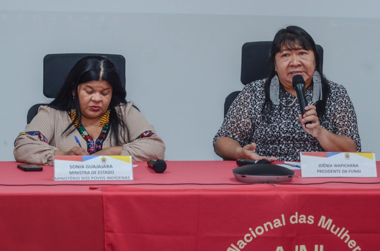 FUNAI: No Comitê Gestor da PNGATI, Funai celebra reestruturação e alerta sobre propostas legislativas que limitam sua atuação