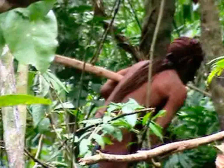 STF: STF homologa plano de trabalho para a criação do Parque Nacional Tanaru