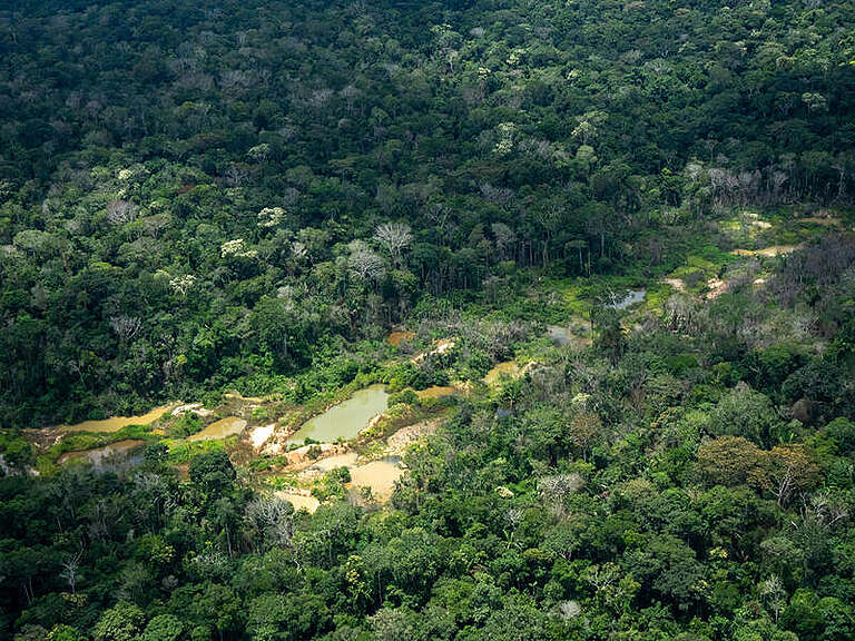 GREENPEACE: Por que o garimpo ainda continua sendo uma ameaça para a Amazônia?