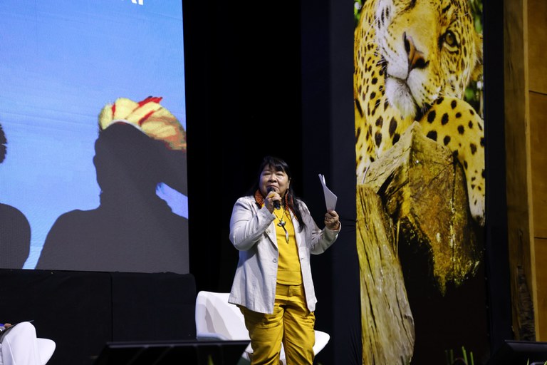 FUNAI: Funai defende expansão de candidaturas indígenas para fortalecer democracia e exercício da cidadania