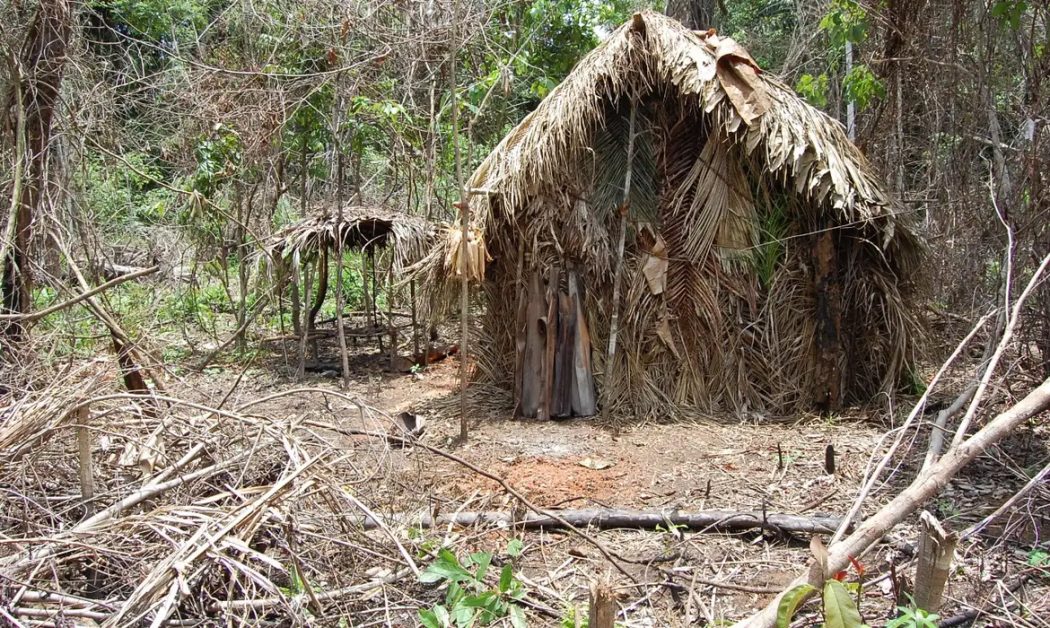 CIMI: Cimi investiga a presença de parentes do ‘Índio do Buraco’, em Rondônia
