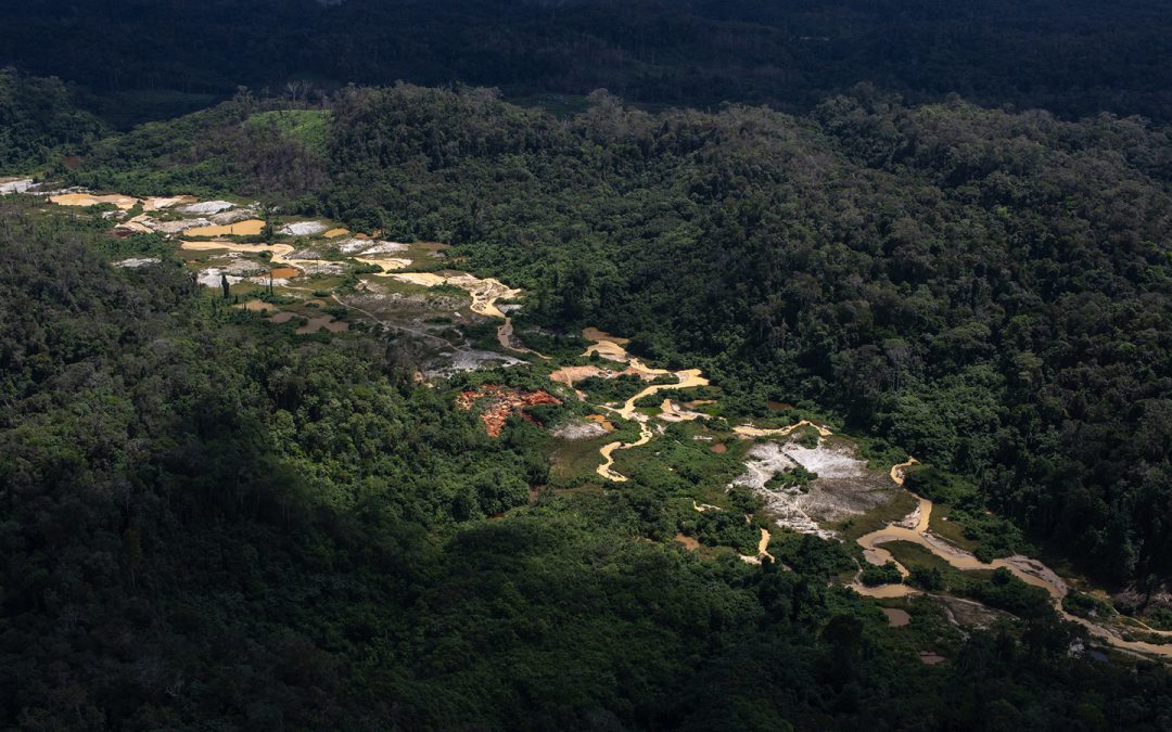 AMAZÔNIA REAL: PLs do Congresso podem legalizar mineração em territórios indígenas