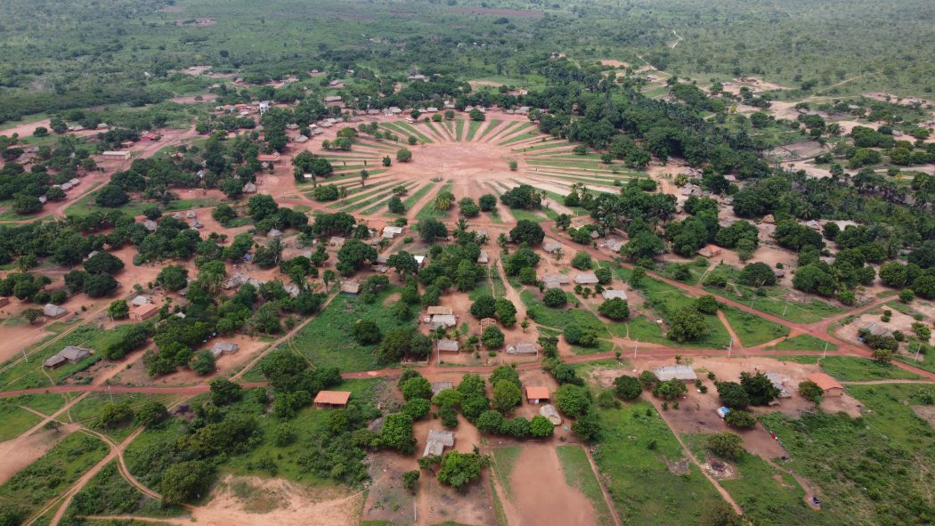 CIMI: Com financiamento milionário do Banco do Brasil, empresa ligada a “bet” desmatou terras indígenas no Maranhão