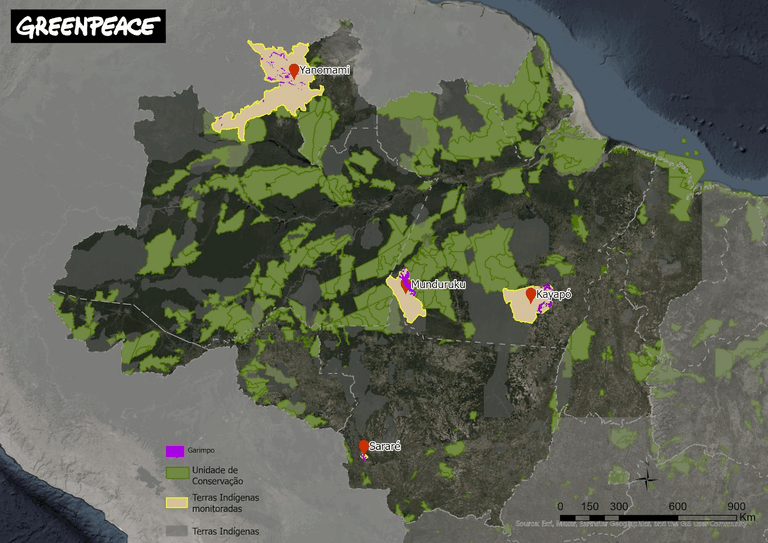 GREENPEACE: Ações de desintrusão fazem garimpo recuar nas maiores Terras Indígenas da Amazônia