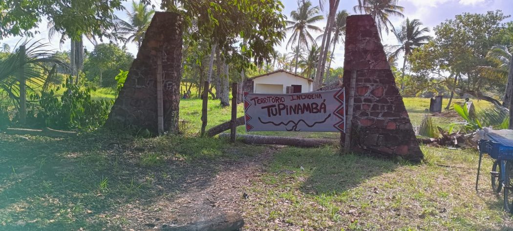 CIMI: Povo Tupinambá realiza retomada do território no sul da Bahia