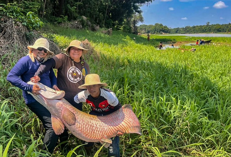 FUNAI: Povo Apurinã desenvolve manejo do pirarucu no Amazonas com apoio da Funai