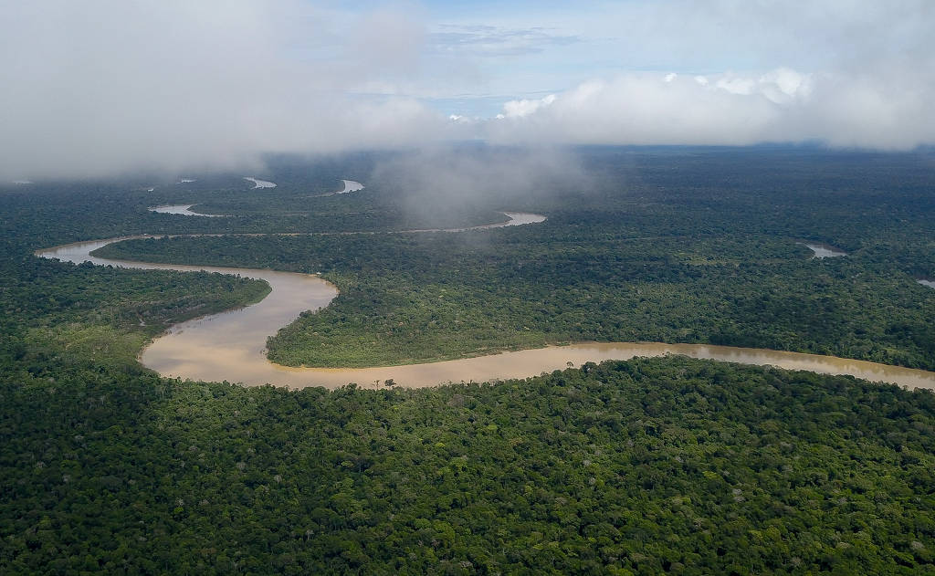 FOLHA DE S. PAULO: Funai detecta ofensiva de 7 empresas por créditos de carbono no Vale do Javari e chama de ‘biopiratas’