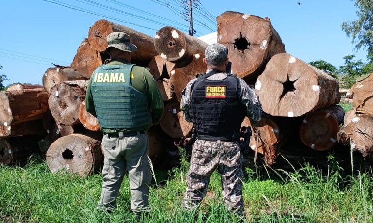 FUNAI: Governo do Brasil apreende madeira ilegal em terra indígena e destina à Funai e ao Governo de Rondônia