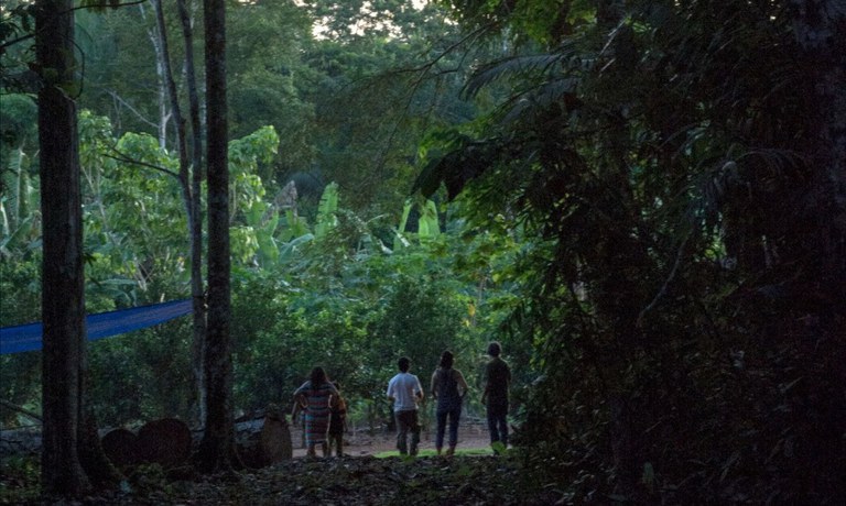 FUNAI: Governo Federal mantém ofensiva contra atividades ilegais em território indígena de Rondônia