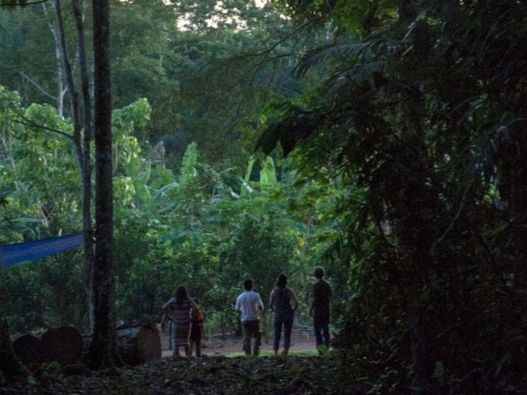 MPI: Governo Federal mantém ofensiva contra atividades ilegais em território indígena de Rondônia