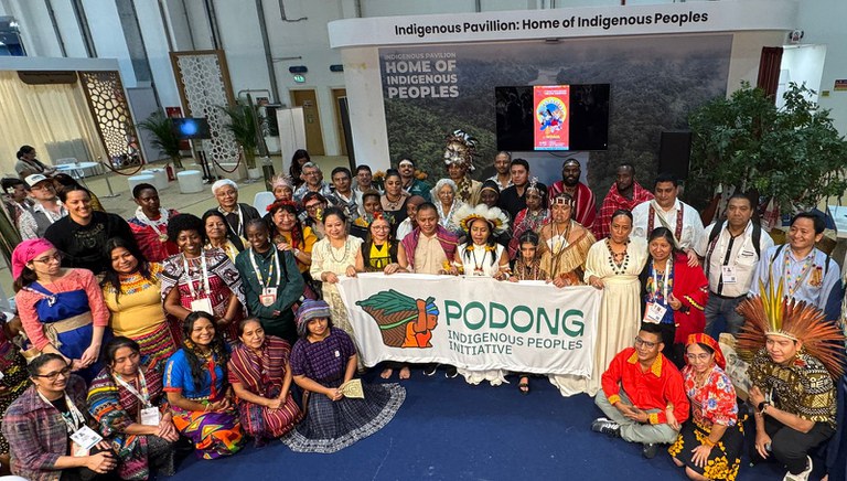 FUNAI: Funai defende valorização dos conhecimentos indígenas para ações coordenadas de saúde única em prol da conservação ambiental