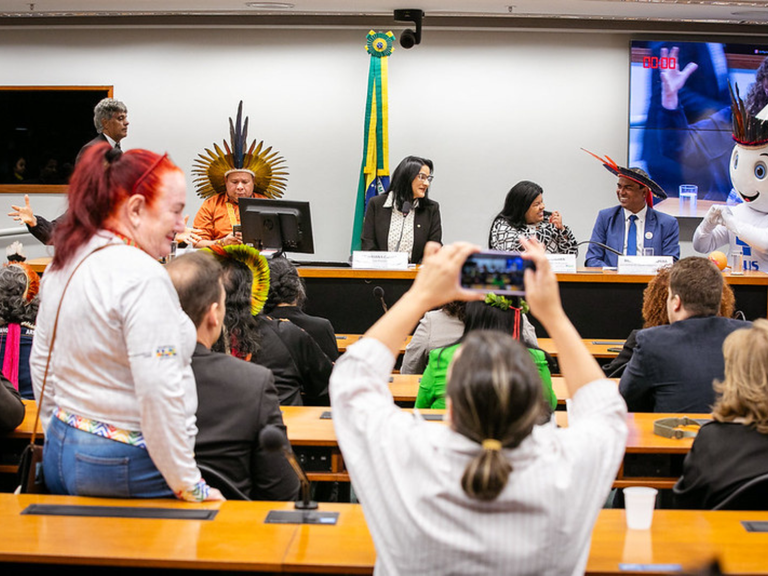 MPI: Comissão da Amazônia e dos Povos Originários e Tradicionais comemora 15 anos da SESAI na Câmara dos Deputados