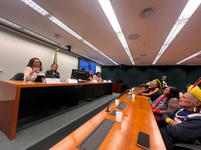 FUNAI: Funai participa de audiência pública em comemoração aos 15 anos da Secretaria de Saúde Indígena