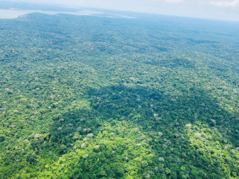 MPI: Governo Federal cumpre metas de proteção a indígenas e STF encerra ADPF 709