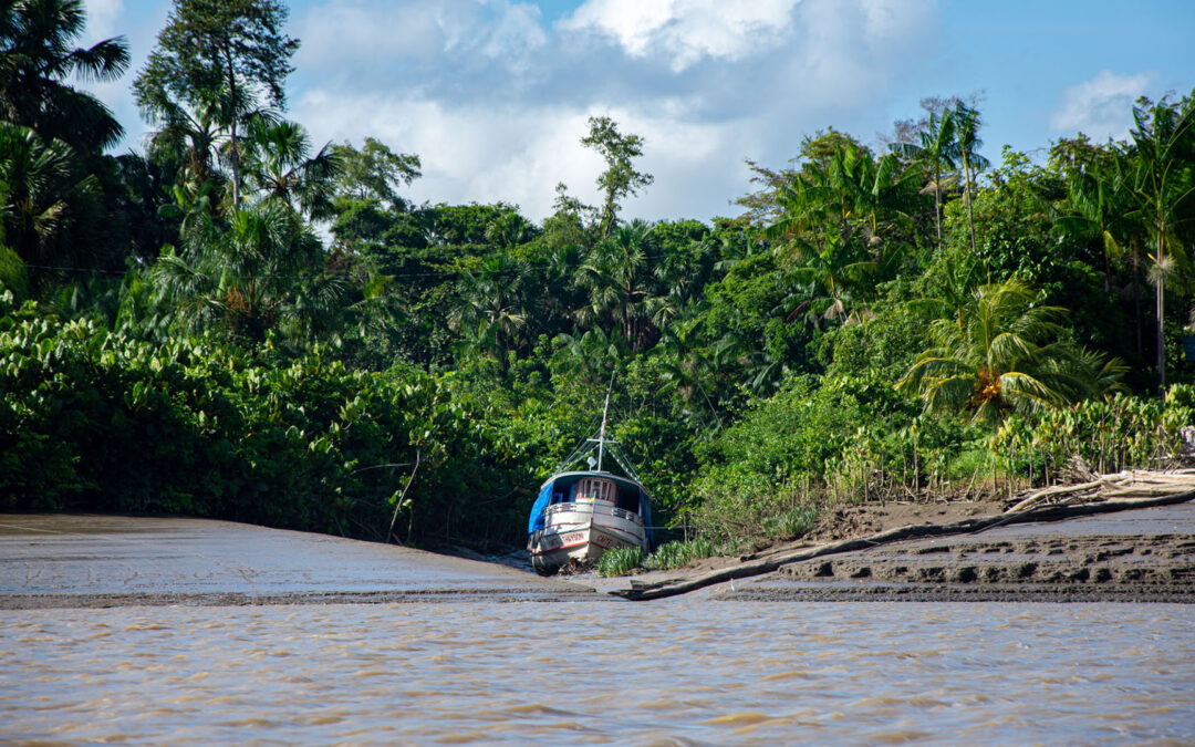 AMAZÔNIA REAL: Não há espaço para mais petróleo na Amazônia