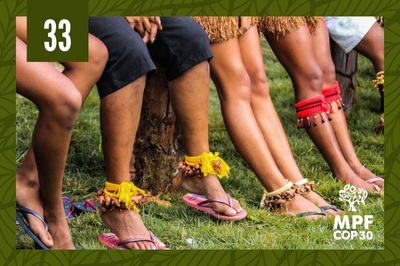 MPF: COP30: MPF fortalece a luta pela regularização fundiária de terras indígenas no sul da Bahia