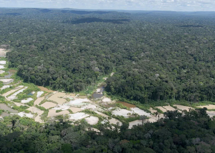 BRASIL DE FATO: Menos de três meses após retirada de garimpeiros, desmatamento volta a ameaçar TI Munduruku