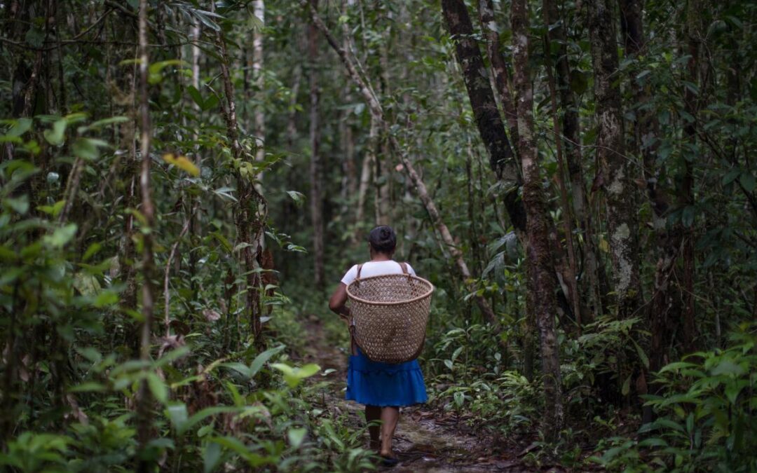 ISA: A resposta econômica e climática que vem dos territórios