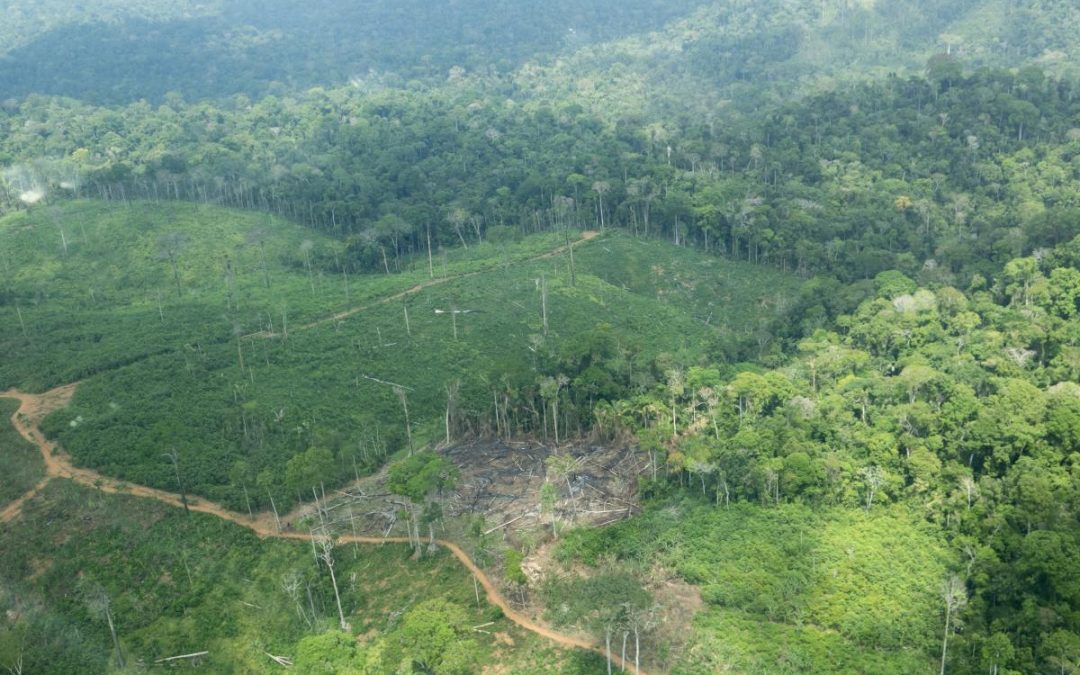 ISA: Organizações indígenas e indigenistas alertam para urgência de retirar invasores da Terra Indígena Cachoeira Seca, no Pará
