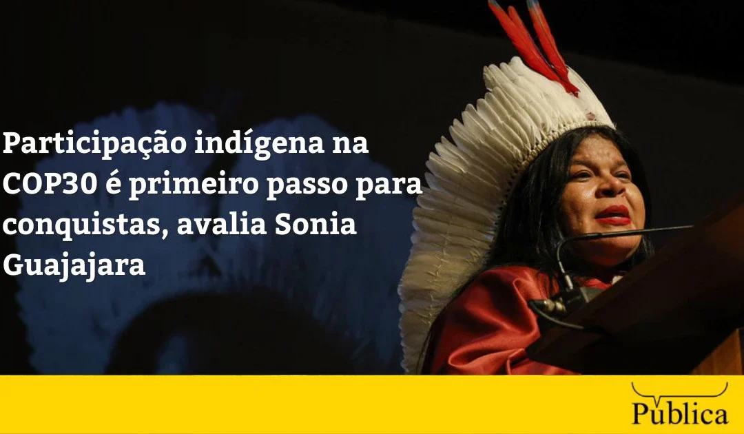 AGÊNCIA PÚBLICA: Participação indígena na COP30 é primeiro passo para conquistas, avalia Sonia Guajajara