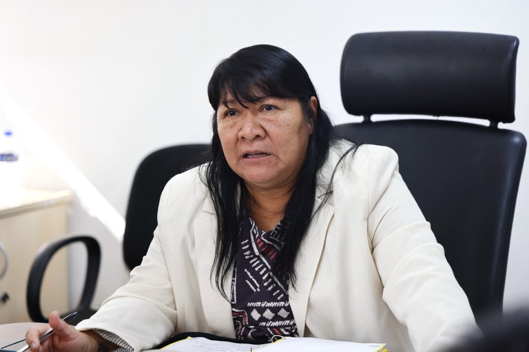 FUNAI: Funai e Arpinsul reforçam diálogo e discutem fortalecimento das unidades regionais da autarquia na região Sul