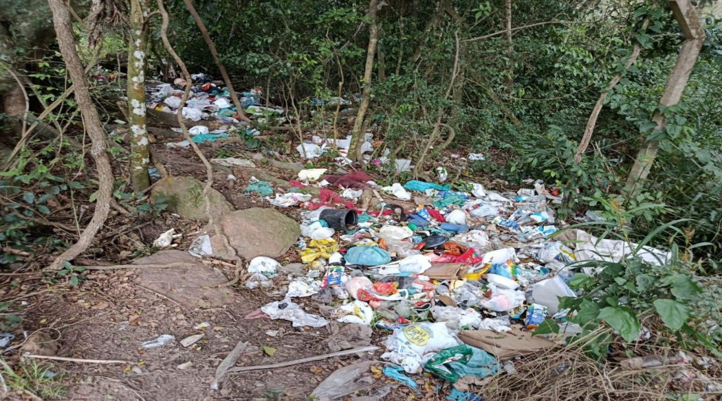 CIMI: Aldeia Pindó Poty alcança justiça socioambiental: decisão judicial determina que supermercado e Município de Porto Alegre repararem dano sofrido