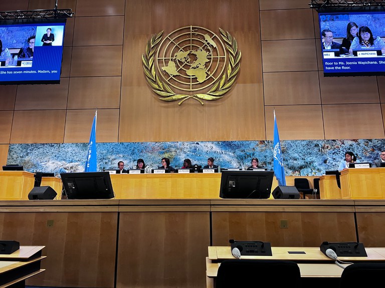 FUNAI: Transição energética deve ser feita com participação e consulta aos povos indígenas, defende Funai em Genebra