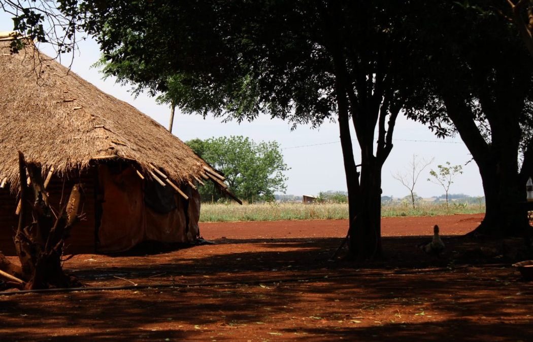 CIMI: Jovem Guarani e Kaiowá com deficiência morre após ação da PM; família contesta versão policial