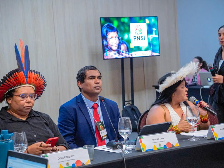 MPI: SESAI apresenta Programa Nacional de Saneamento Indígena durante 5ª Reunião Ordinária do CNPI