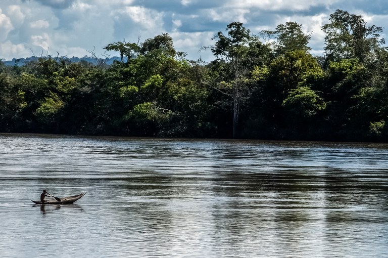FUNAI: Conheça o papel da Funai nos processos de licenciamento ambiental