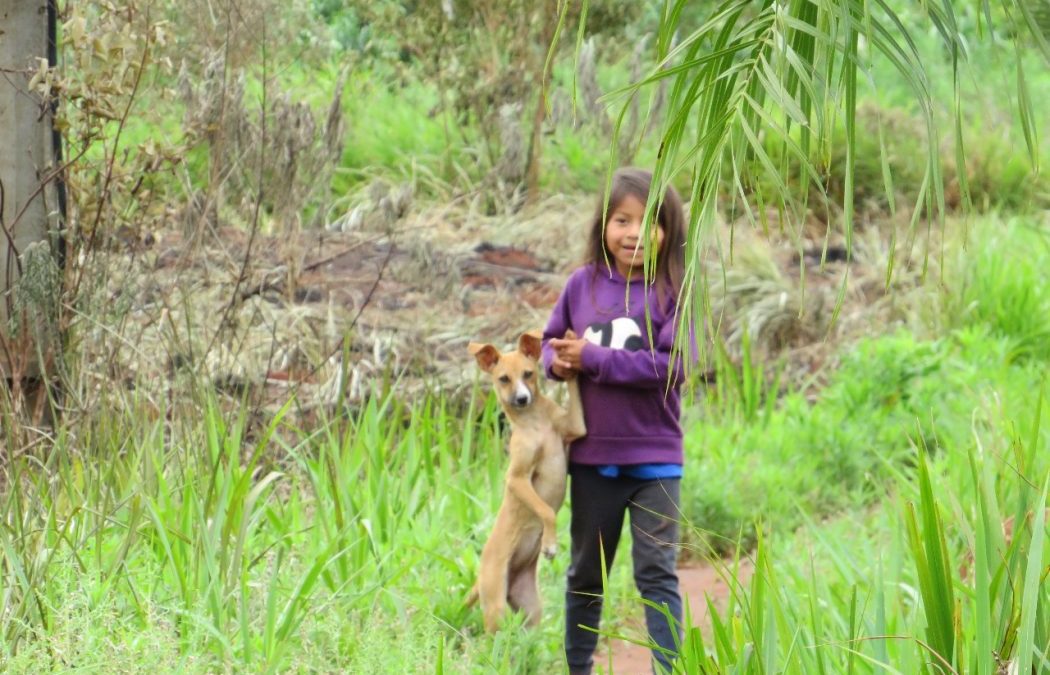 CIMI: Sob o Manto Azul de Aparecida: o grito da inocência ferida em Guyraroká