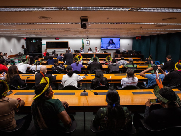 MPI: Comissão de Meio Ambiente da Câmara dos Deputados debate participação indígena na COP 30