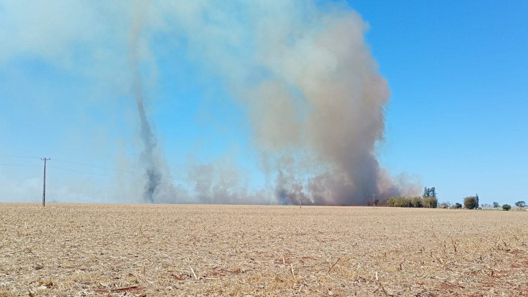 CIMI: Guarani e Kaiowá voltam à retomada na TI Guyraroká e sofrem ataque; ONU e CIDH são acionadas