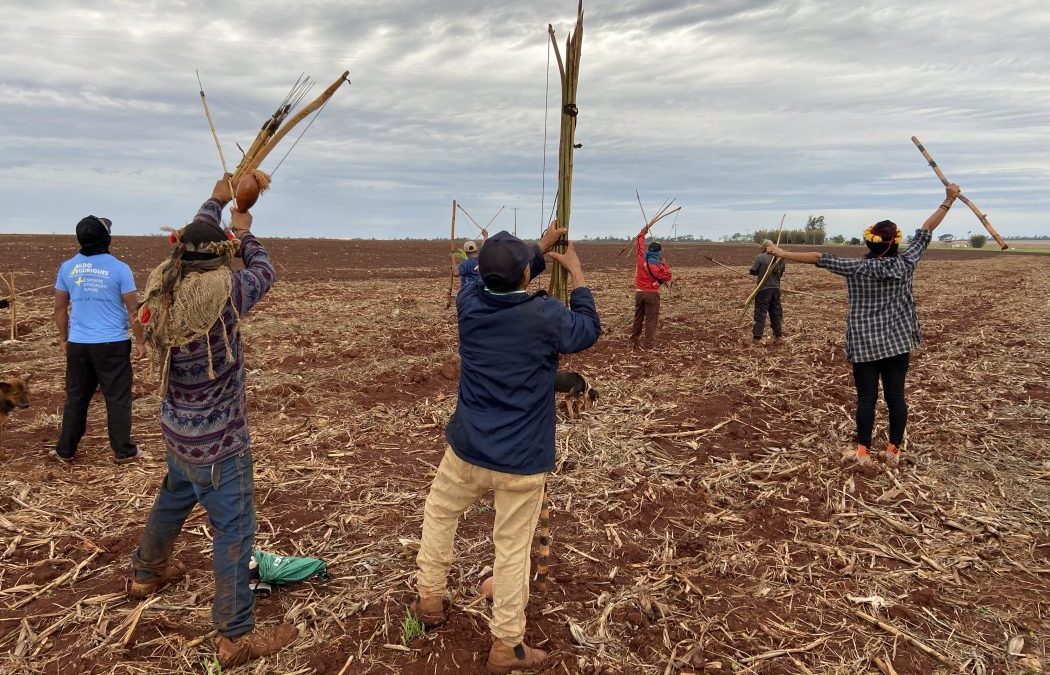 CIMI: Indígenas Guarani e Kaiowá bloqueiam estrada para impedir pulverização de agrotóxico na TI Guyraroká