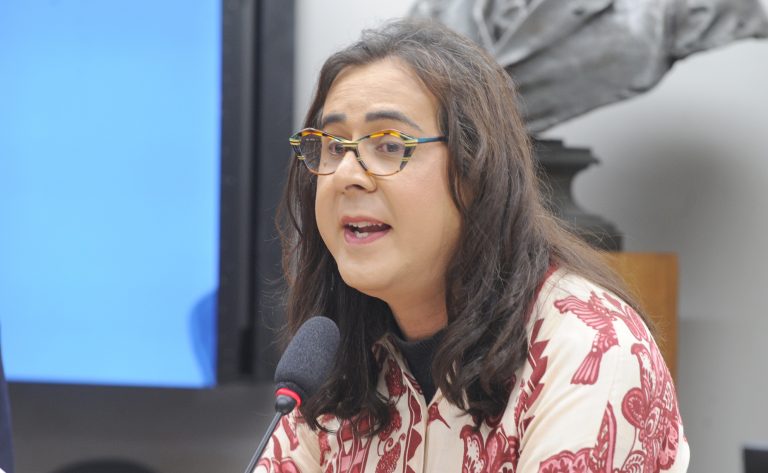 CÂMARA: Comissão de Meio Ambiente debate participação indígena nas decisões da COP30