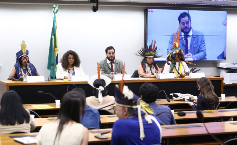 CÂMARA: Governo anuncia medidas para valorizar pajés e saberes indígenas