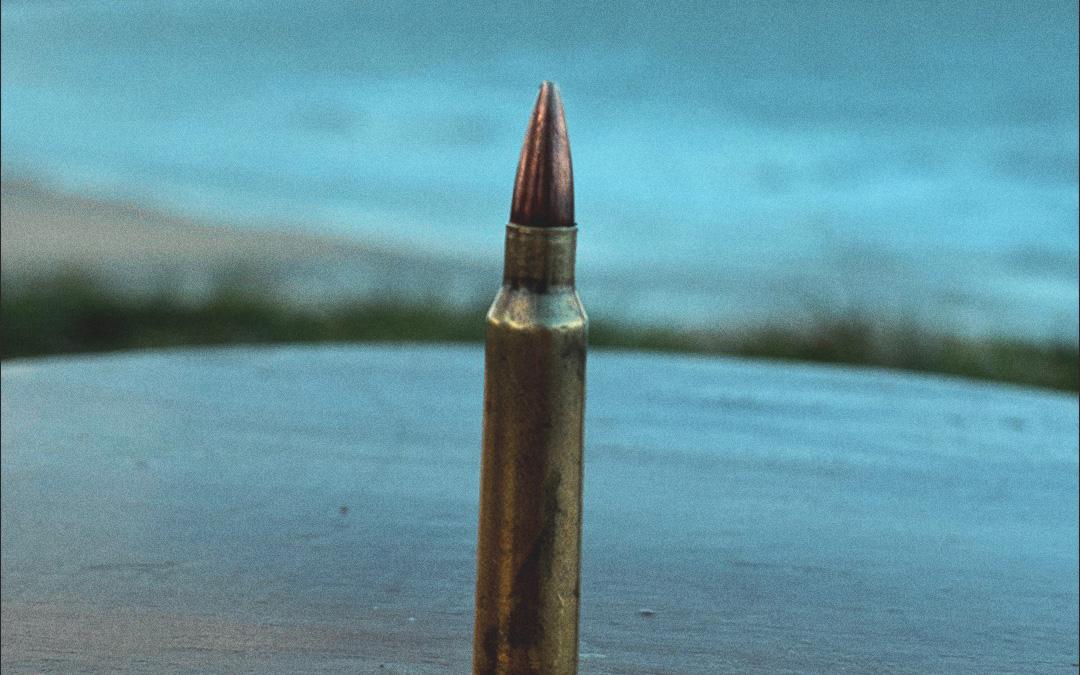 APIB: Agronegócio contrata pistoleiros e tenta promover etnocídio indígena no extremo sul da Bahia