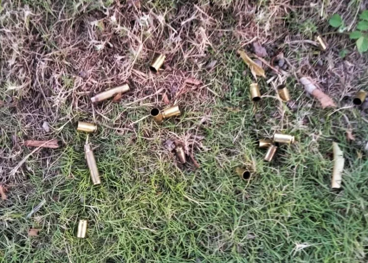 BRASIL DE FATO: Território indígena no sul da Bahia é alvo de ataque armado; duas pessoas ficaram feridas