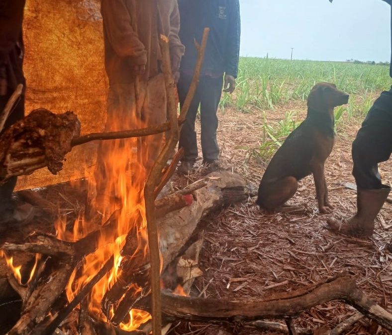 CIMI: Povo Guarani e Kaiowá realiza nova retomada para recuperar território, desta vez em Porto Cambira
