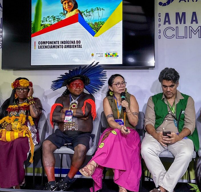FUNAI: COP30: Funai reforça que licenciamento ambiental deve ser instrumento de proteção aos povos indígenas