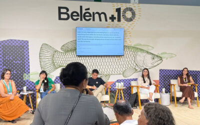CIR: CIR NA COP 30: DEPARTAMENTO DE GESTÃO TERRITORIAL AMBIENTAL E MUDANÇAS CLIMÁTICAS, PARTICIPA DE PAINEL POVOS INDÍGENAS E INICIATIVAS DE ADAPTAÇÃO CLIMÁTICA NO BRASIL