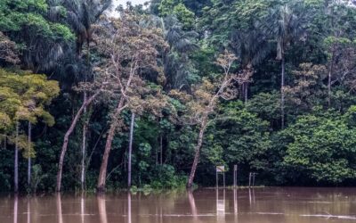 FUNAI: Com mais quatro homologações, sobe para 20 o número de terras indígenas homologadas pelo presidente Lula