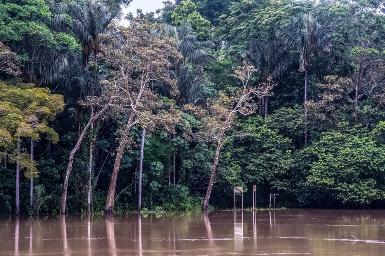 FUNAI: Com mais quatro homologações, sobe para 20 o número de terras indígenas homologadas pelo presidente Lula
