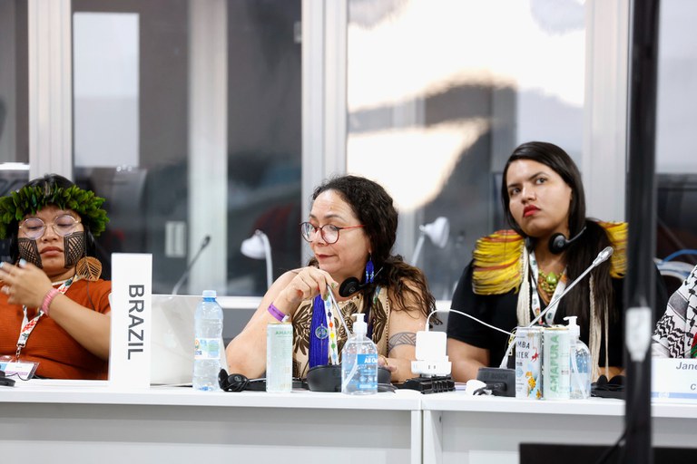 FUNAI: Transição energética deve respeitar os direitos dos povos indígenas, defende Funai na COP30