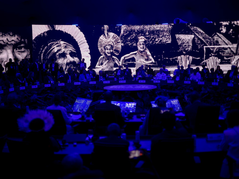 MPI: Metas intergovernamentais e filantrópicas buscam consolidar direitos fundiários e fortalecer a governança territorial de forma global