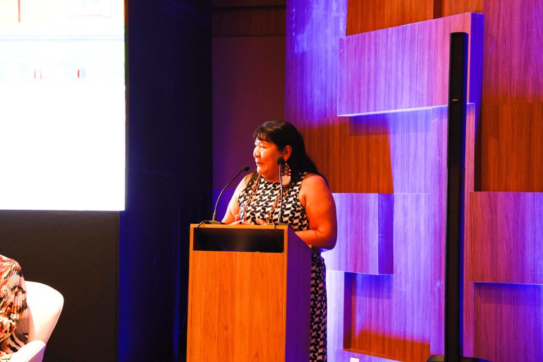 FUNAI: Funai reforça boas práticas e conhecimentos tradicionais dos povos indígenas em evento do BNDES na COP30