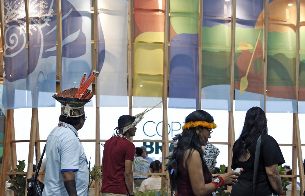 CIMI: Os indígenas na centralidade da COP 30: mas, até onde é para valer!