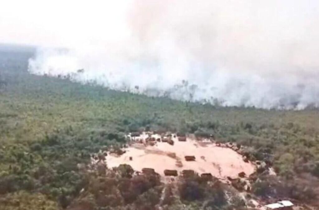 OPAN: Resistência indígena à crise climática: povo Kajkwakhratxi-Tapayuna e a inovação da roça com o “Sisteminha Embrapa”