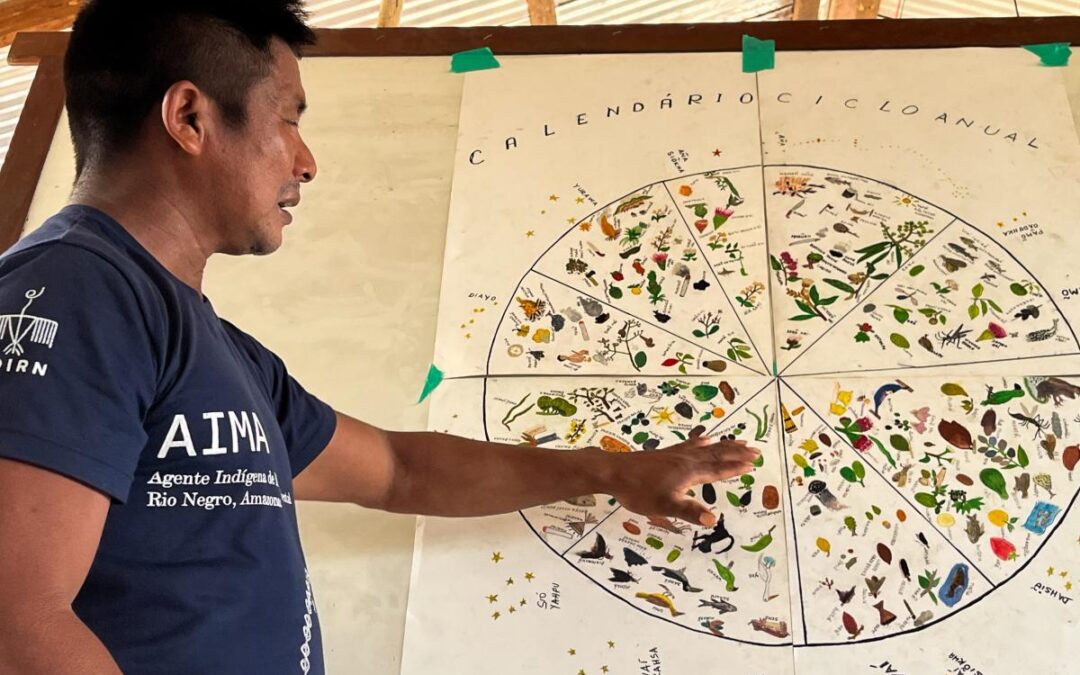 ISA: Na COP30, lançamento da Aru 6 celebra 20 anos de pesquisa dos Aimas no Rio Negro