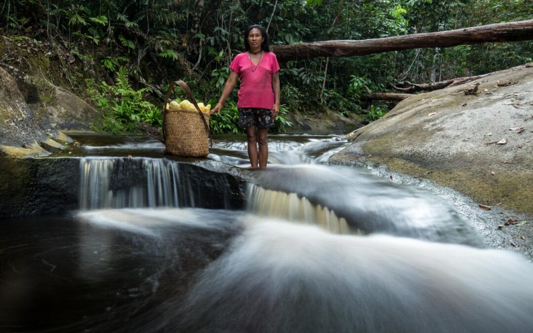 ISA: COP30: indígenas, quilombolas e ribeirinhos levam à AgriZone seus sistemas agrícolas ancestrais e inovadores